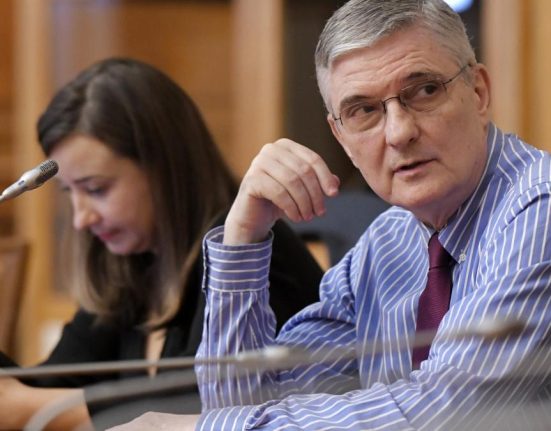 Avertismentul lui Daniel Daianu Romania trebuie sa evite o criza economica