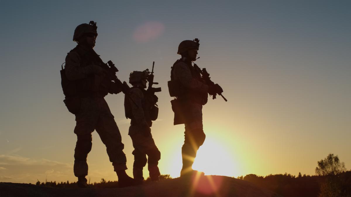 Ministrul Apararii O prezenta militara americana permanenta ar fi un progres dar si prezenta rotationala este la fel de eficienta