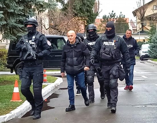 Descoperiri socante la proprietatile lui Horatiu Potra zeci de grenade o mitraliera si explozibil gasite in casa mercenarului