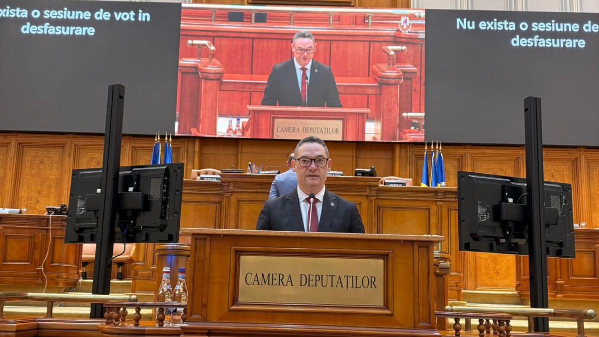 Madalin Bors PSD Nu putem permite ca viziuni care contesta democratia si valorile UE sa castige teren in politica interna