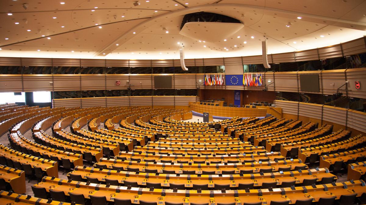 Parlamentul European analizeaza raportul francez privind manipularea alegerilor din Romania