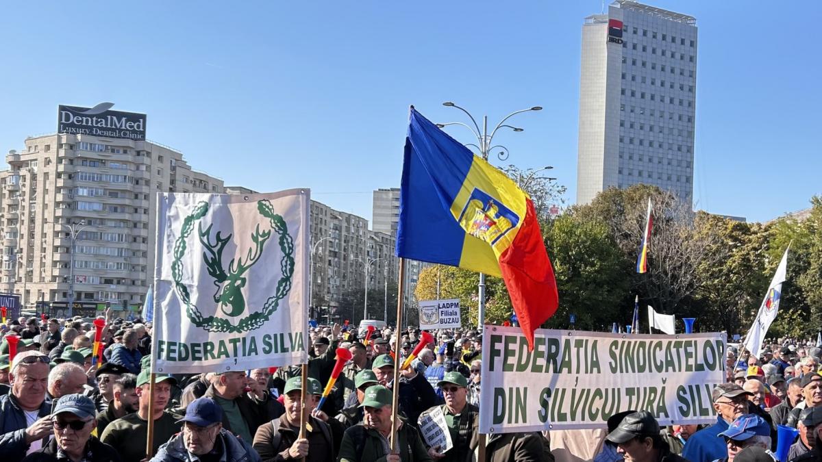 Silvicultorii protesteaza miercuri la Ministerul Mediului