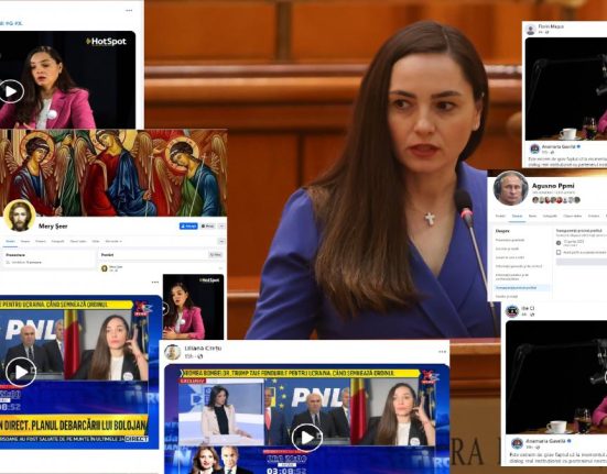 Am gasit boti la POT Cum opereaza armata de conturi false ale deputatei Anamaria Gavrila