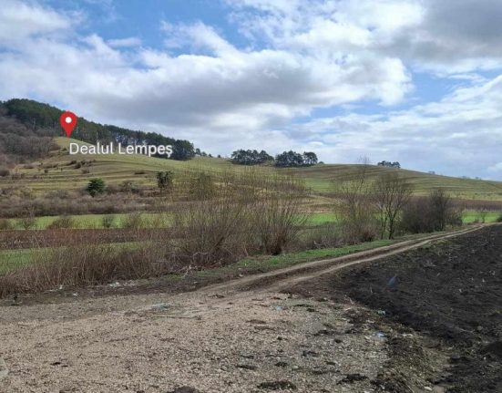 Autostrada A13 va include un tunel de 500 metri