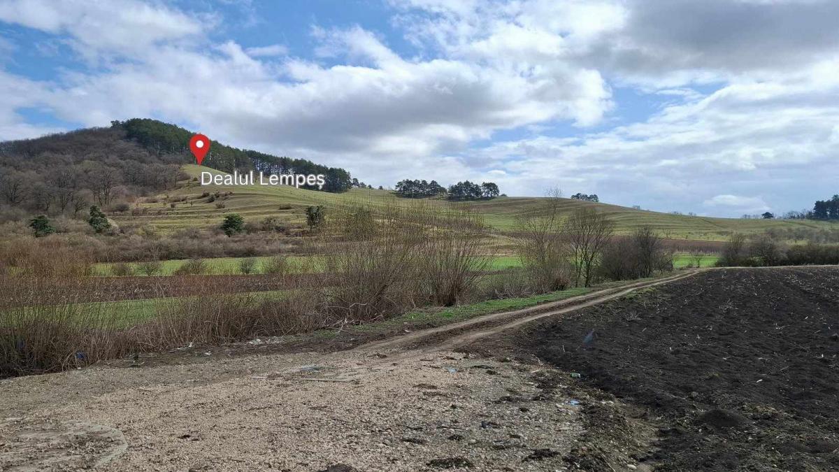Autostrada A13 va include un tunel de 500 metri