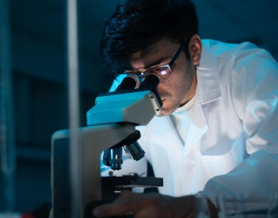 Carnea de laborator si alimentele din ciuperci micro alge vor fi pe mesele romanilor in 20 de ani