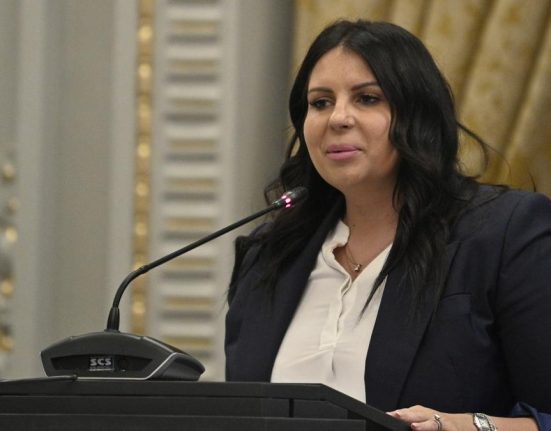 Crin Antonescu garantia unui climat economic stabil spune Gabriela Horga
