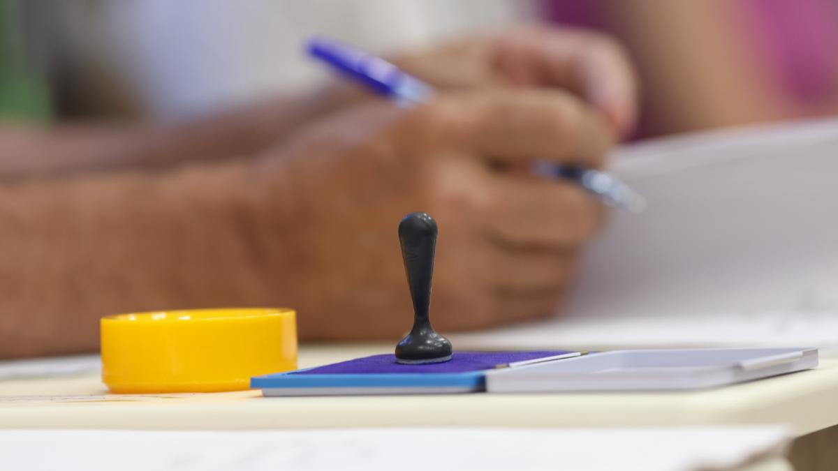MAE solicita 3600000 de buletine de vot pentru Diaspora
