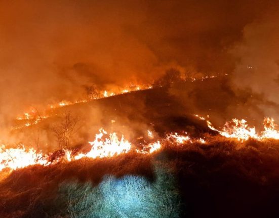 Romania mistuita de incendii de vegetatie bilantul autoritatilor