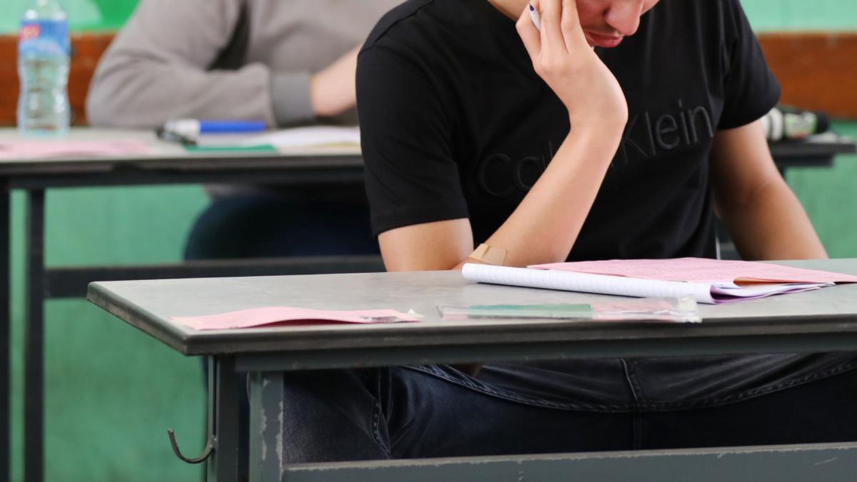Simularea Bacalaureat 2025 Proba la Romana si rezultate