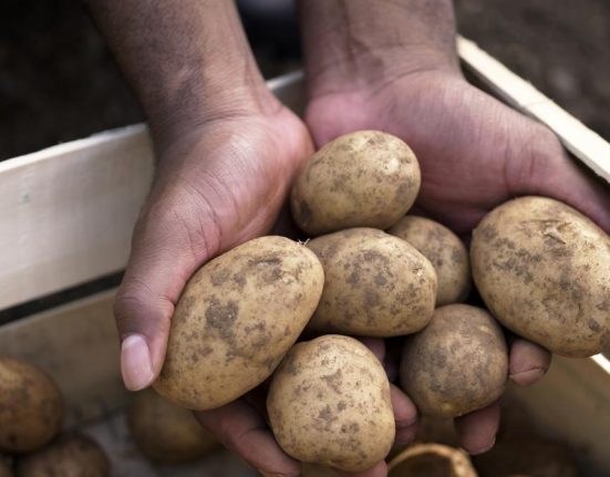 USR solicita eliminarea Agentiei pentru Calitatea si Marketingul Produselor Alimentare