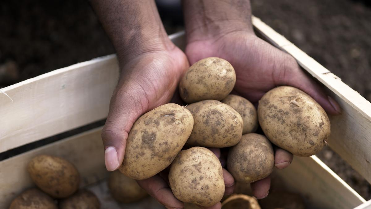 USR solicita eliminarea Agentiei pentru Calitatea si Marketingul Produselor Alimentare