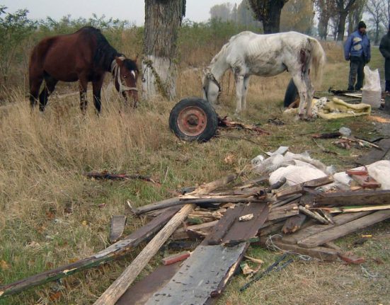 Accident grav pe DN14 in Sibiu Caruta cu 8 copii lovita