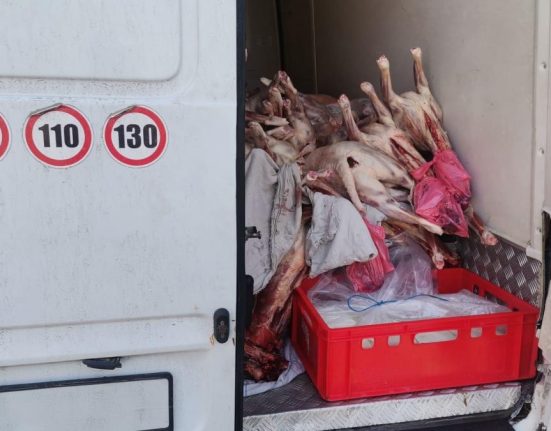 Un camion cu peste o tona de carne de miel oprit la intrarea in Bucuresti