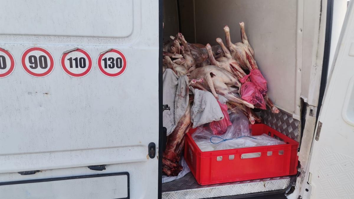 Un camion cu peste o tona de carne de miel oprit la intrarea in Bucuresti