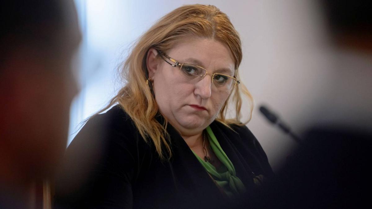 Sosoaca a creat scandal la vot sa trecut alaturi de Vlad Tepes si Stefan cel Mare pe buletin si a votat in afara cabinei