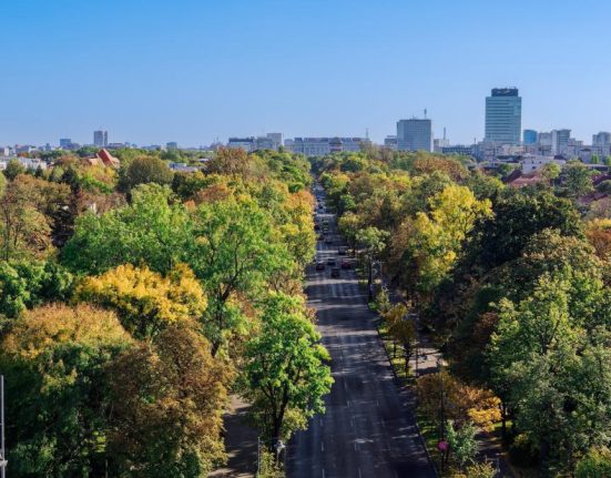 Amenzi crescute pentru taieri ilegale de copaci in Bucuresti