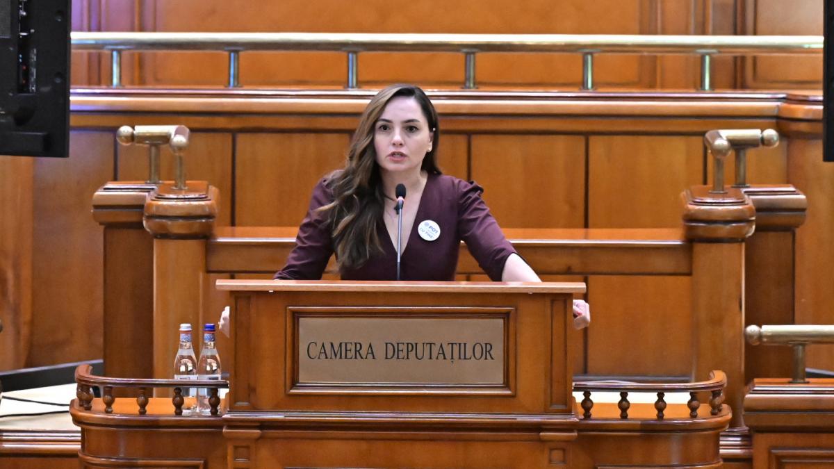 Anamaria Gavrila a facut scandal din nou in Parlament