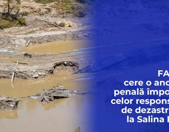 FACIAS solicita ancheta penala pentru dezastrul de la Salina Praid