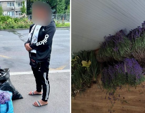 Femeie prinsa de doua ori la furat lavanda