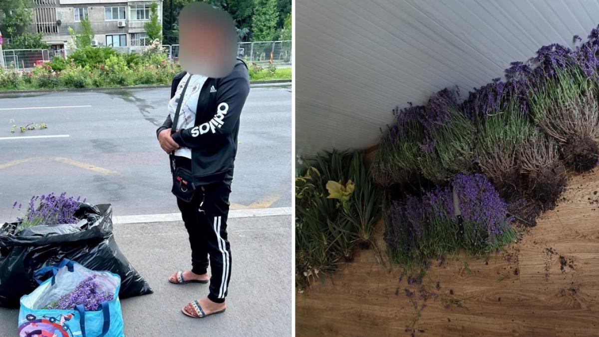 Femeie prinsa de doua ori la furat lavanda