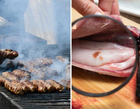 Mici cu Salmonella i peti cu larve Anisakis descoperii n Buzu