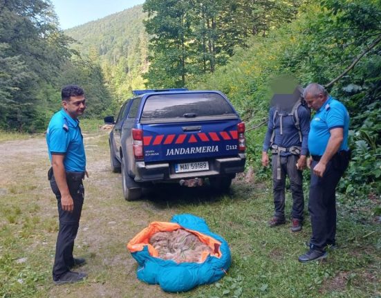 Operatiune pe munte Catel salvat de jandarmi