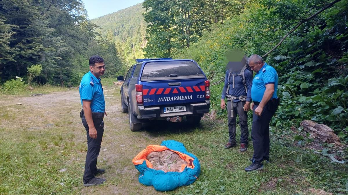 Operatiune pe munte Catel salvat de jandarmi
