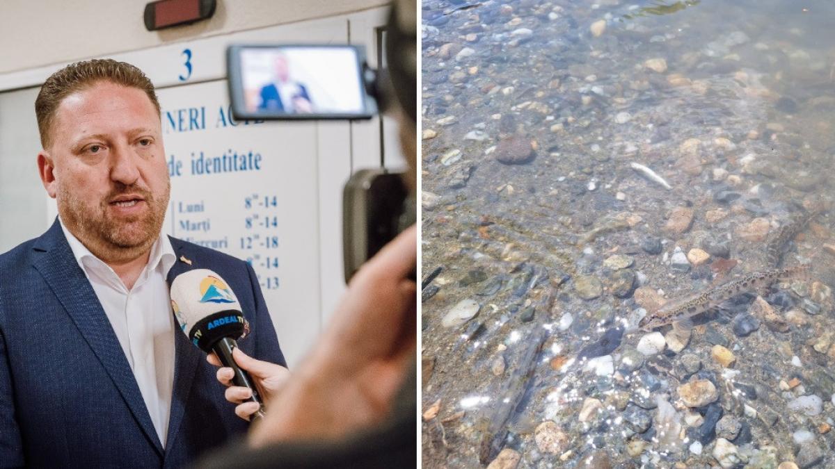 Prefectul de Mures acuza neinformarea despre salinitatea Tarnavei Mici
