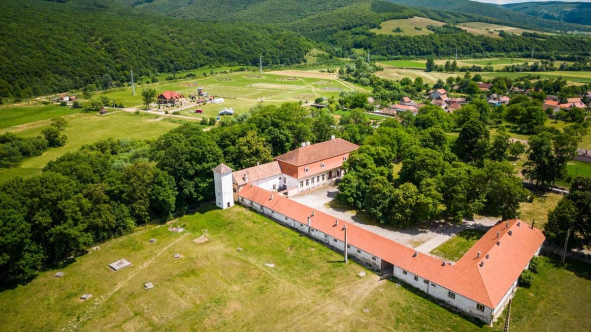 Romania va avea un muzeu al calului in 2024