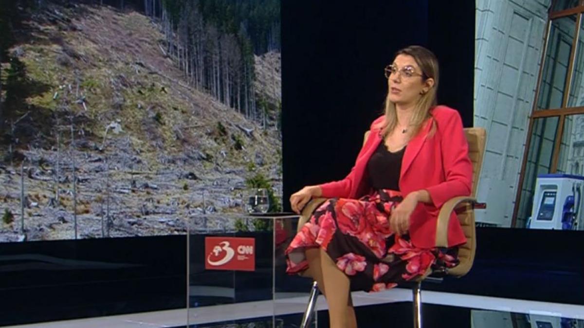 Diana Buzoianu 99 de directori Romsilva 22 milioane lei salarii lunar