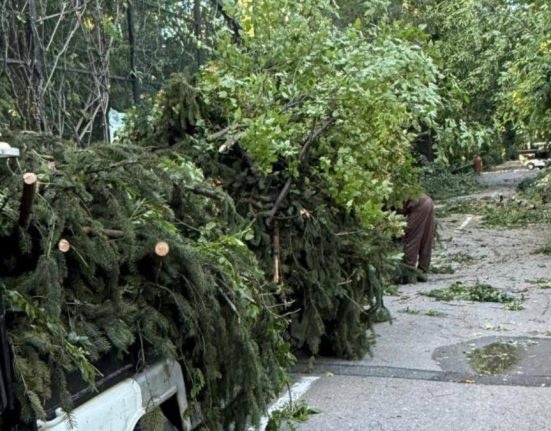 Gradina Zoologica Bucuresti se inchide temporar dupa furtuna