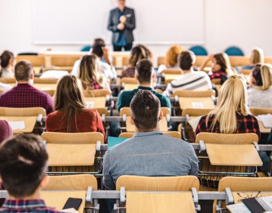 Guvernul a aprobat burse anuale pentru studii externe