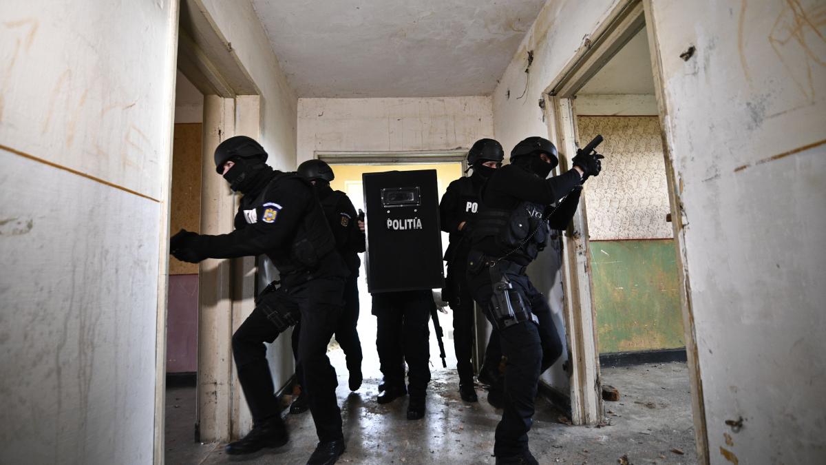 Mascatitii au intrat de 10 ori din gresala intr o familie din Ploiesti