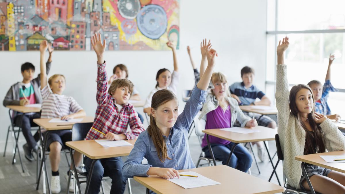 Ministrul Educatiei Dam bursa de merit la nota 5