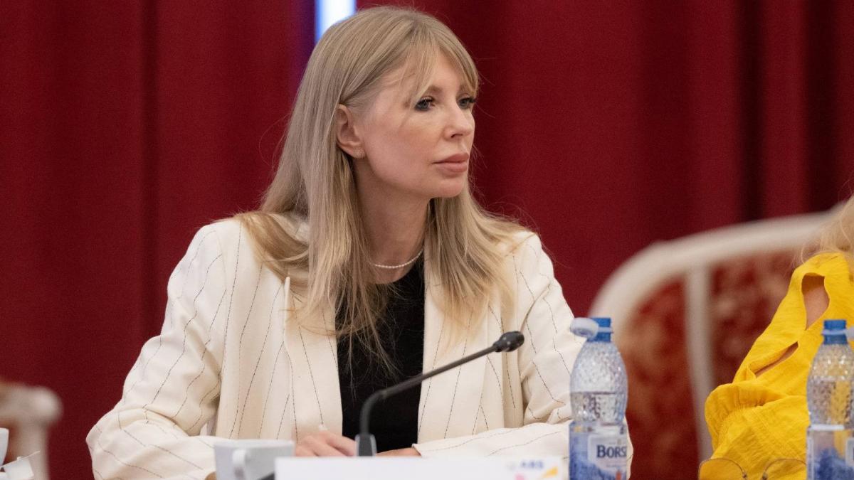 Nicusor Dan somat de vicepresedinta PSD sa clarifice legea