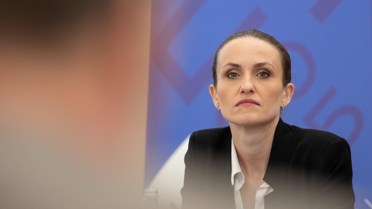 Oana Toiu Funct ionari promoveaza Romania fara cunostinte lingvistice