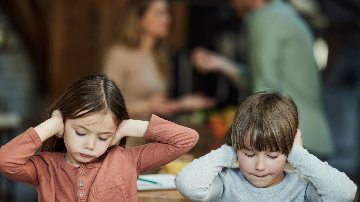 Romania pensiilor alimentare fantoma Tatii ascund veniturile