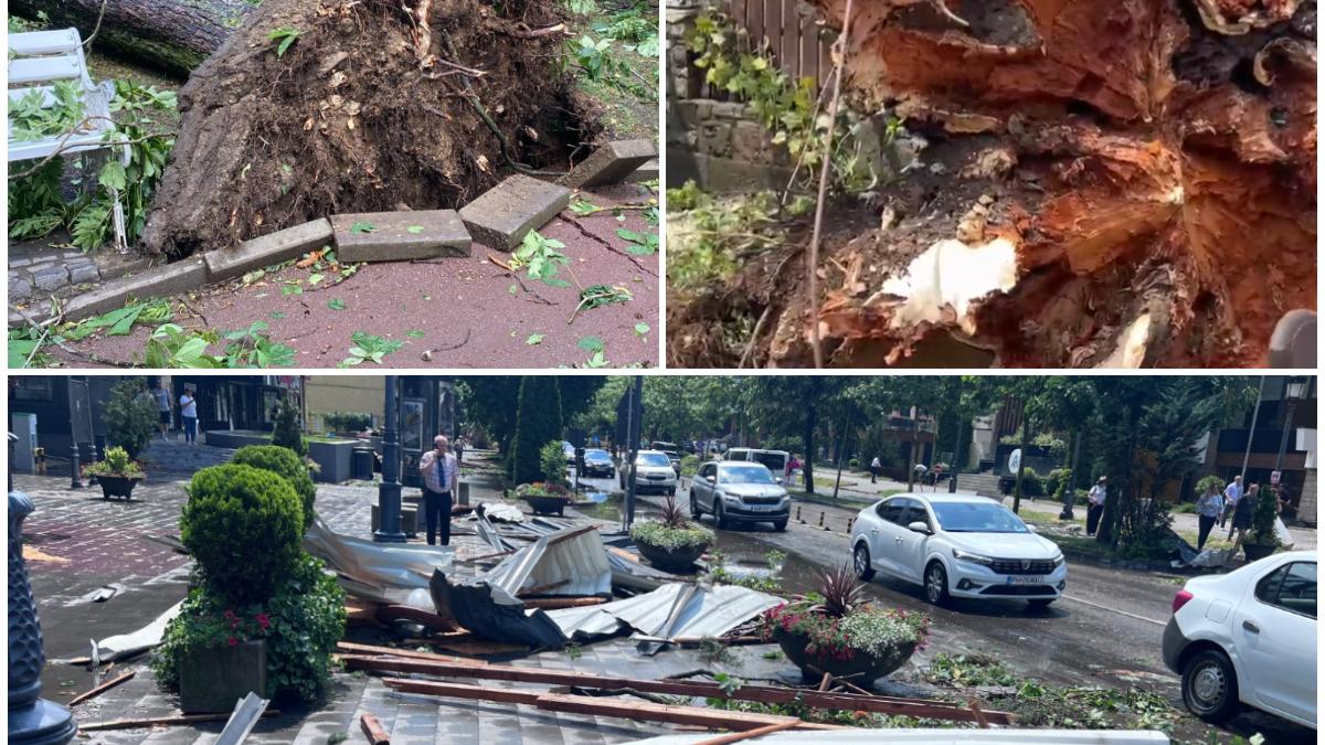 Tornada a distrus toti copacii in Sinaia