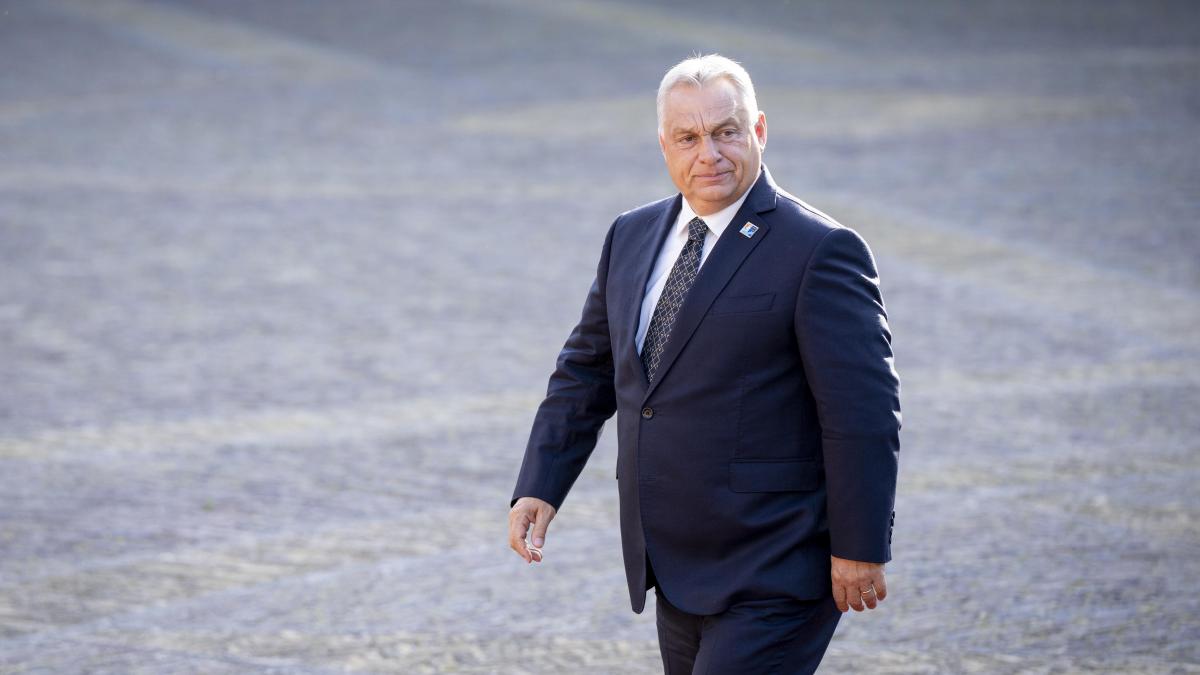 Viktor Orban se ntalneste cu Bolojan inainte de Tusnad