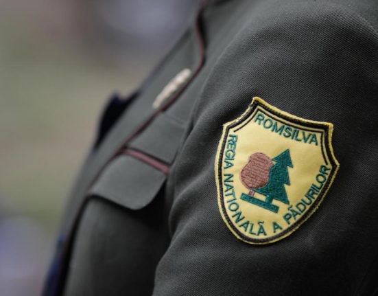 Cifrele dezastrului Romsilva Prime de 46 milioane lei pierderi uriasse