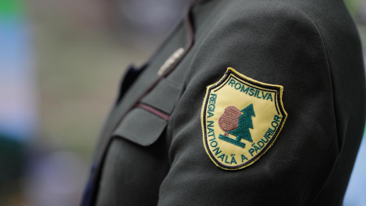 Cifrele dezastrului Romsilva Prime de 46 milioane lei pierderi uriasse