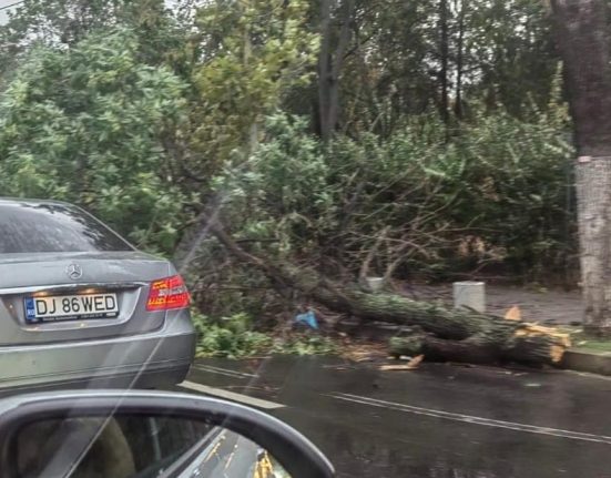 Furtuna puternica in Bucuresti copaci rupati si prabusiti