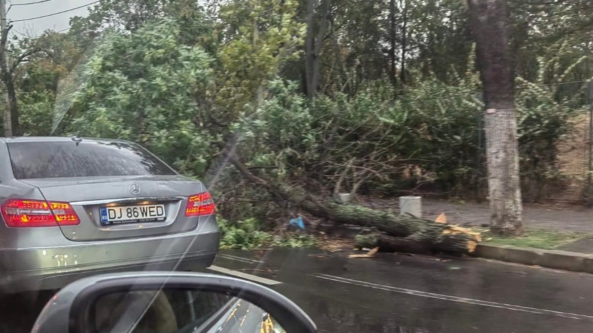Furtuna puternica in Bucuresti copaci rupati si prabusiti