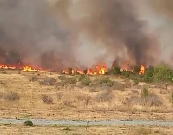 Incendiu imens in Gorj sute de hectare ARSE