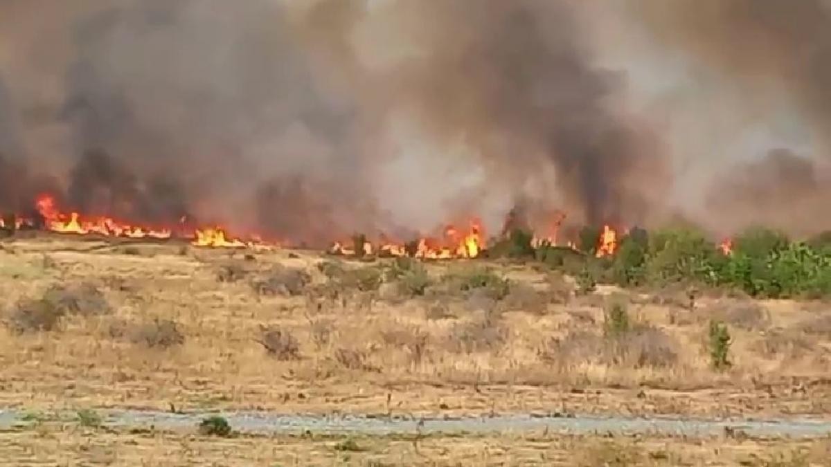 Incendiu imens in Gorj sute de hectare ARSE