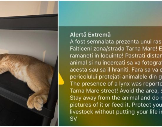 Ras pe strazile din Falticeni locuitorii avertizati