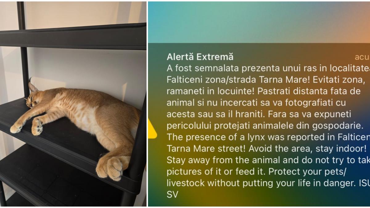 Ras pe strazile din Falticeni locuitorii avertizati