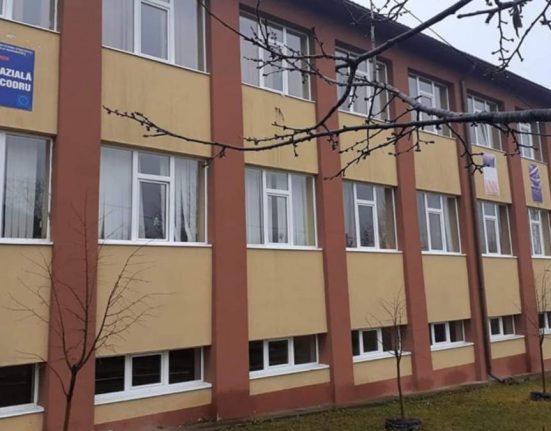 Un elev de 12 ani a murit asteptandu si mama