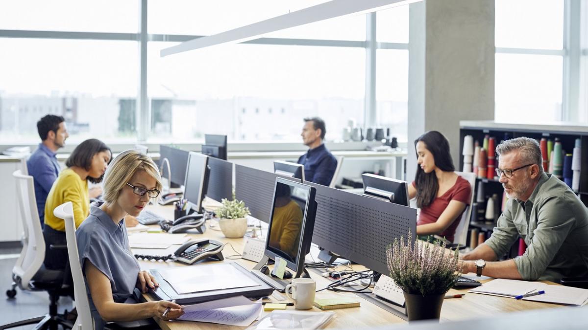 polyworking trendul nou pe piata muncii din romania